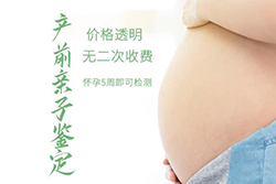 昌都怀孕六周要如何办理血缘检测，昌都孕期亲子鉴定费用是多少钱